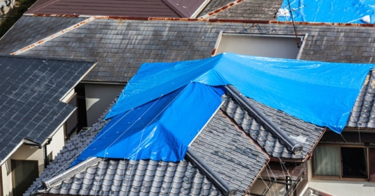 tarped roof