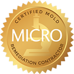 Certified Micro Mold